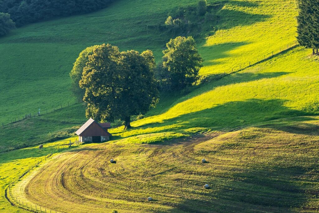 Photo de champs vallonés avec une ferme au milieu