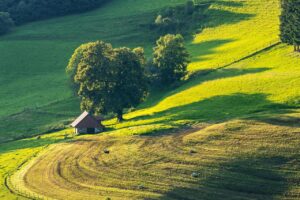 Photo de champs vallonés avec une ferme au milieu